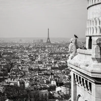Travel & Fine Art